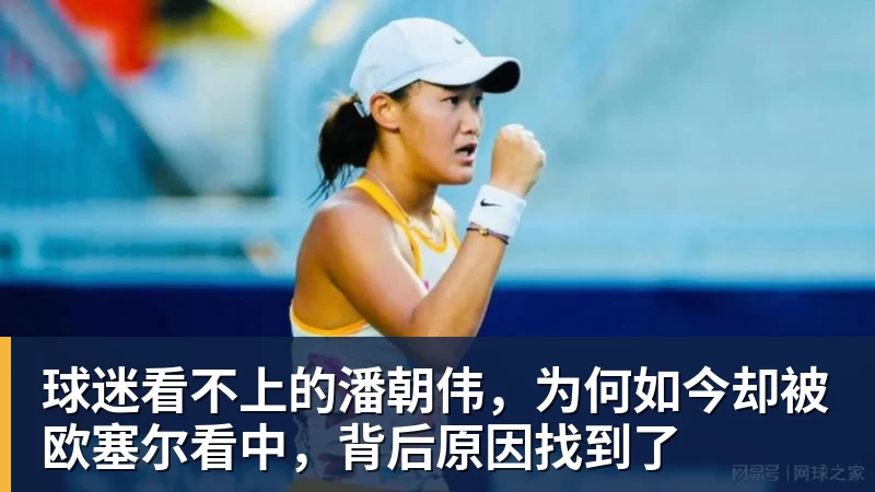华体会体育球迷看不上的潘朝伟，为何如今却被欧塞尔看中，背后原因找到了